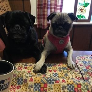 Meet your Posher, Vickye